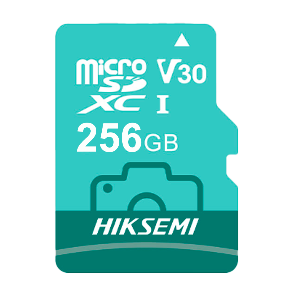 HS-TF-D3STD/256G/NEO LUX/WW