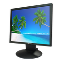 [SF-MNT19-BNC] SF-MNT19-BNC