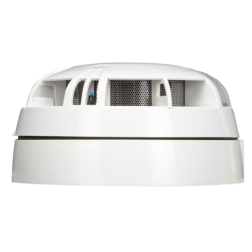 TF-TFDA-S2-50