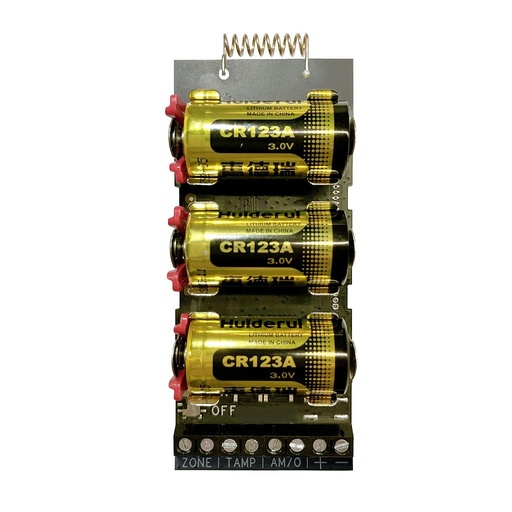 [DS-PM1-I1-WE] DS-PM1-I1-WE